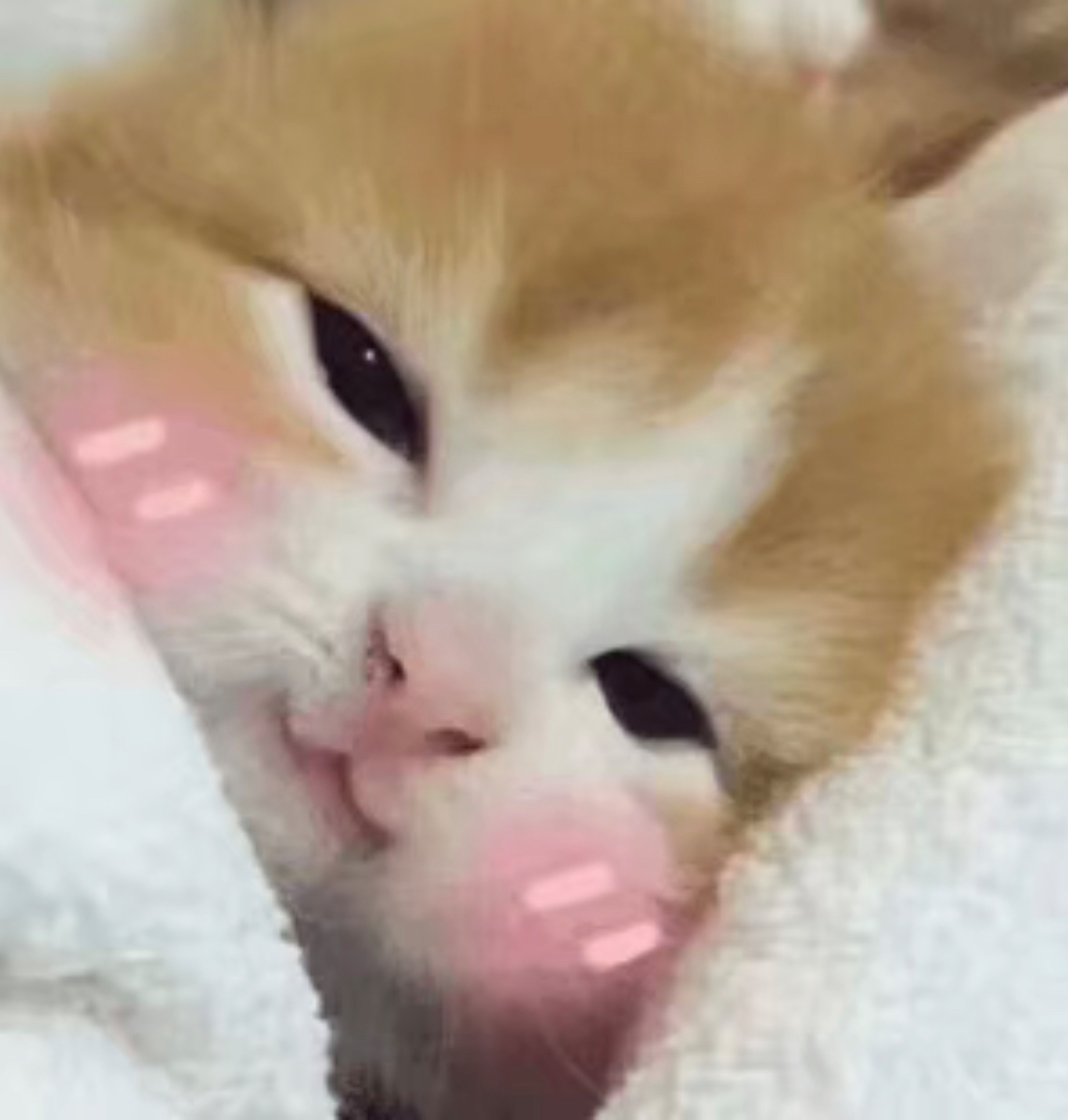 ΢ͼƬ_20200427092210.png