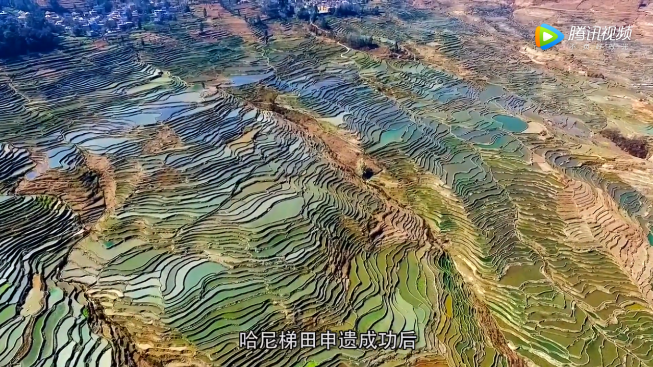 ΢ͼƬ_20200429134232.png
