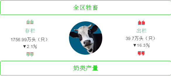 13.png