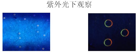 ΢ͼƬ_20200507155745.jpg