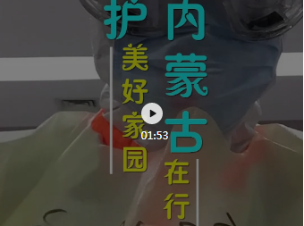 Ƶ.png