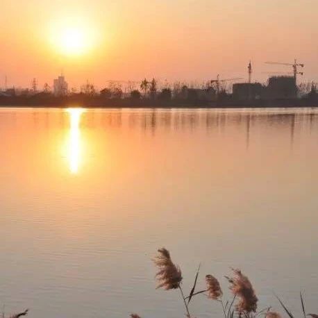 711_1596473729612.jpg