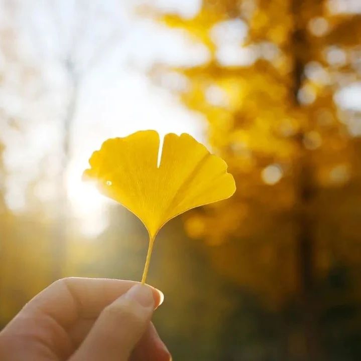 630_1596832506877.jpg