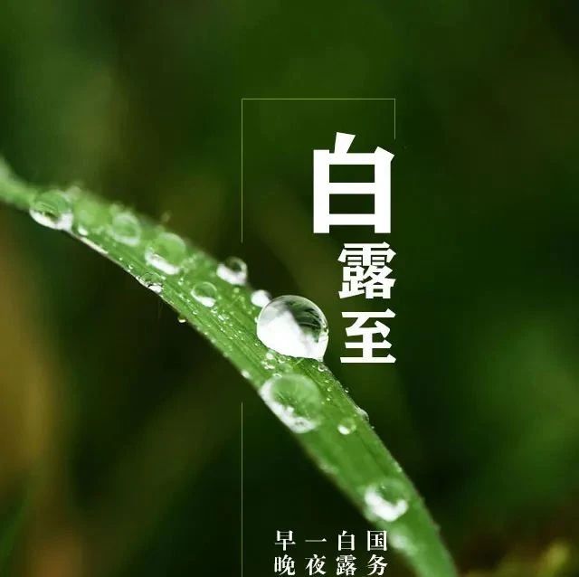 313_1599500124622.jpg
