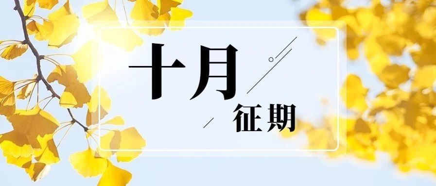 770_1602216606569.jpg