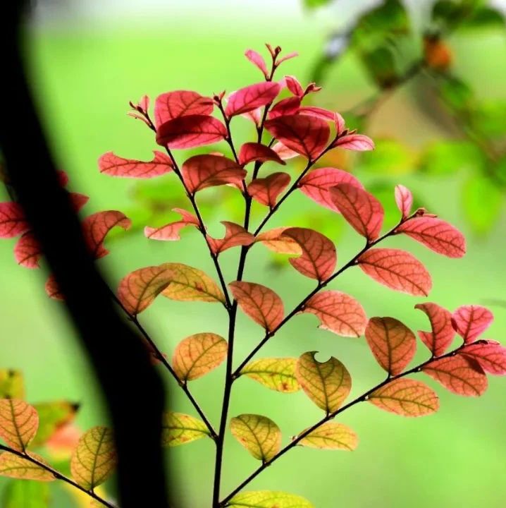550_1603309211094.jpg