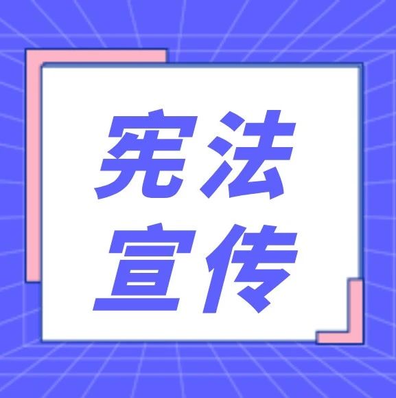278_1606947606194.jpg