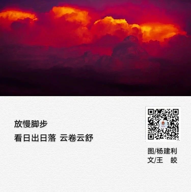 200_1607538604949.jpg