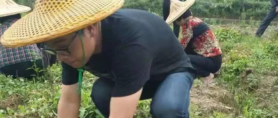 443_1607807106391.jpg