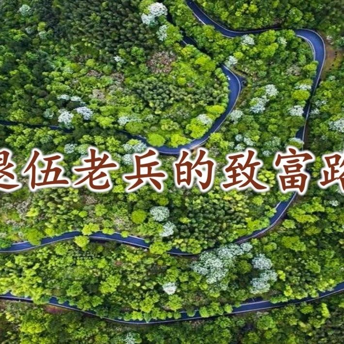270_1608049213141.jpg