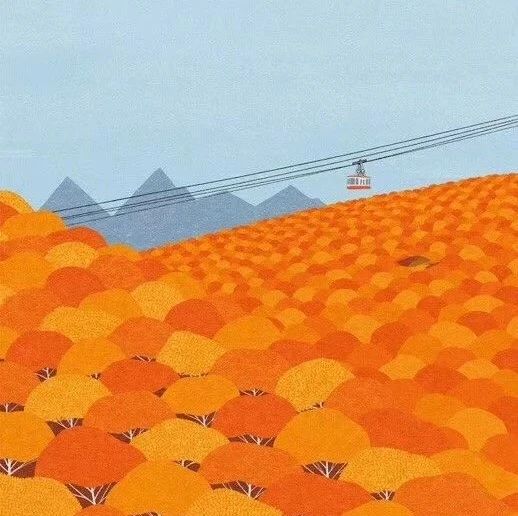 351_1609373116268.jpg