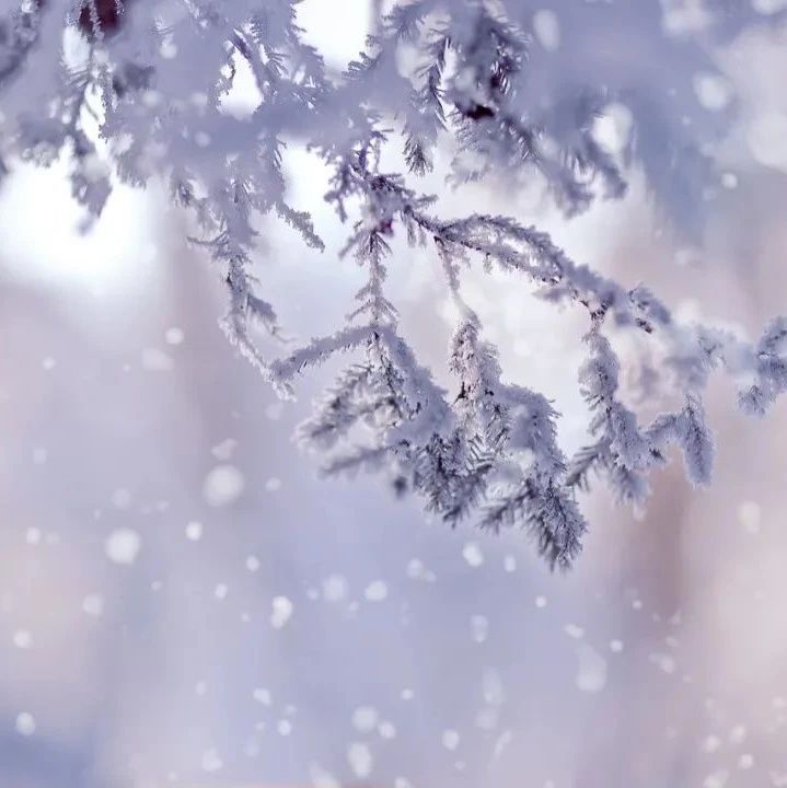901_1609864513911.jpg