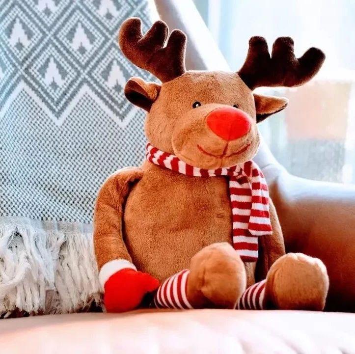 497_1609996205917.jpg
