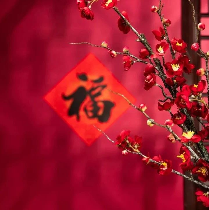 993_1612520123045.jpg