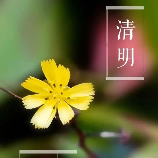 108_1617885011150.jpg