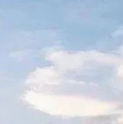 834_1617883823532.jpg