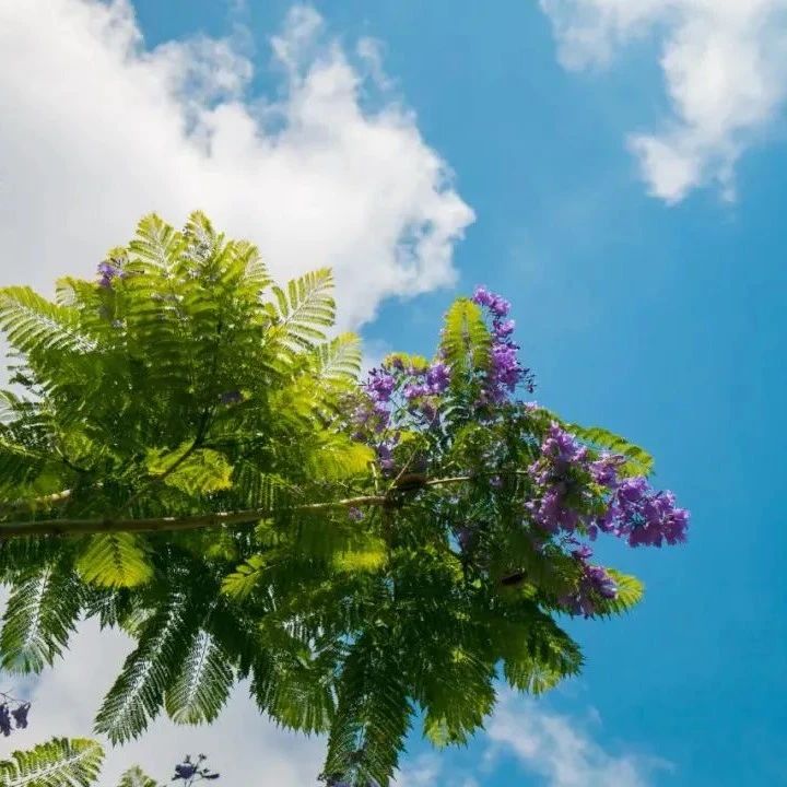 938_1617887181239.jpg