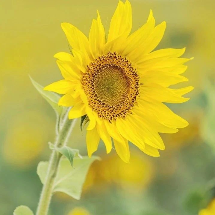 277_1618198898378.jpg