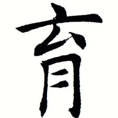 431_1618409412547.jpg