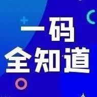 295_1619524208368.jpg