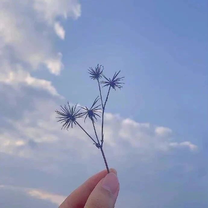 435_1621428623110.jpg