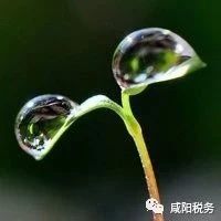 690_1621428736514.jpg