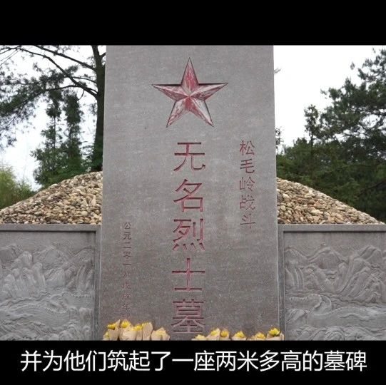 272_1622571378991.jpg