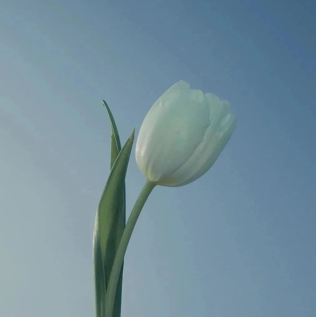 353_1623778214472.jpg
