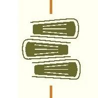 487_1623875708329.jpg
