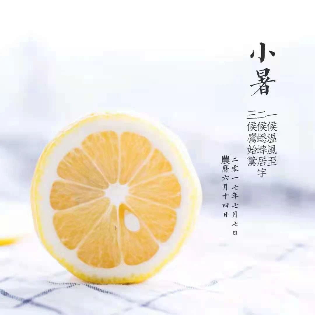 544_1625602804481.jpg