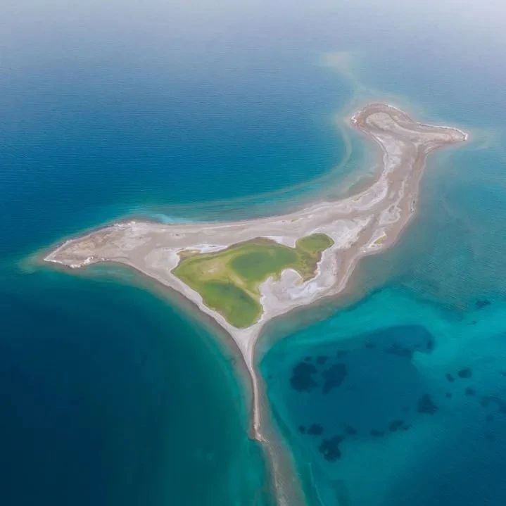 227_1626066647664.jpg