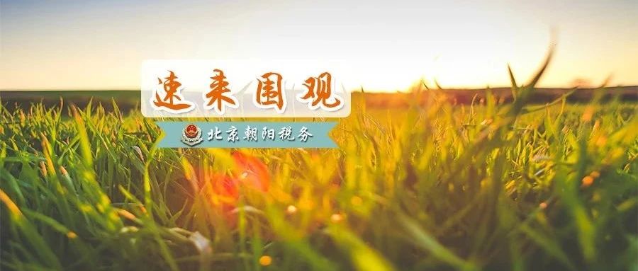 300_1626201656707.jpg