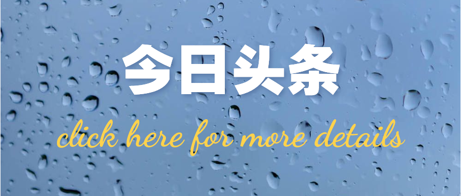 925_1626402924216.png