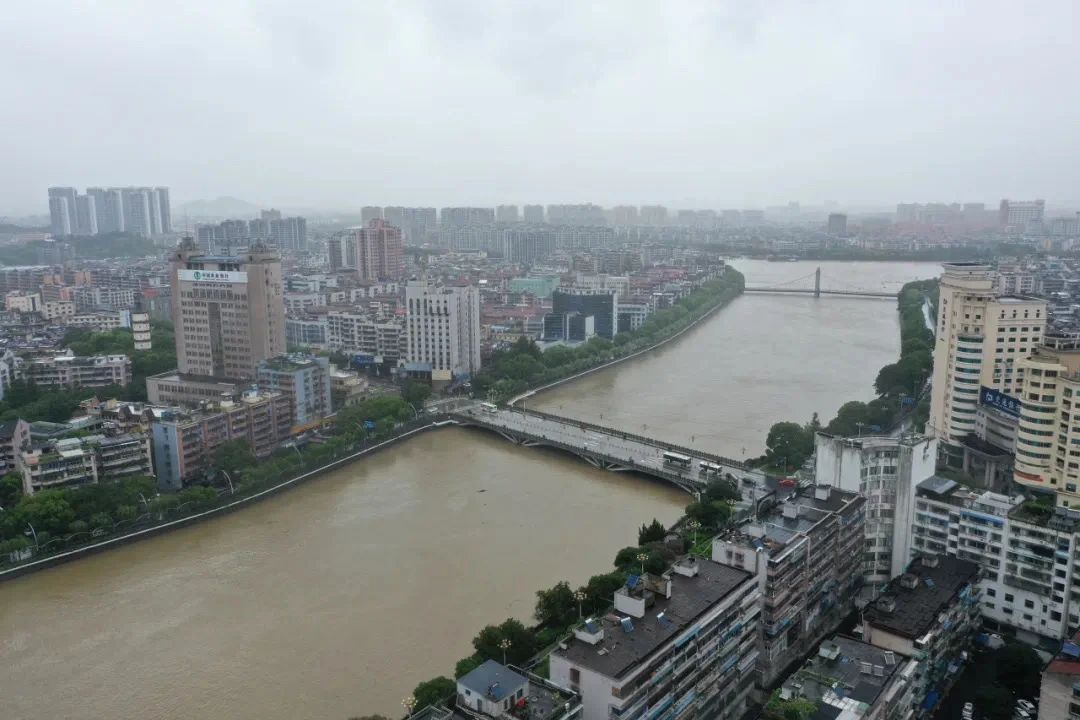 257_1627391497678.jpg