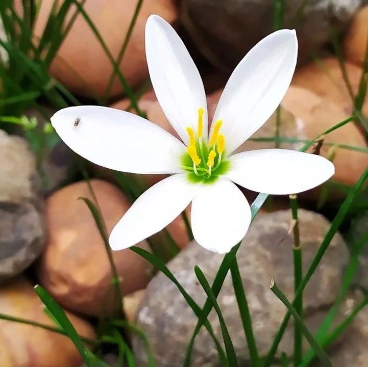 455_1627319444646.jpg