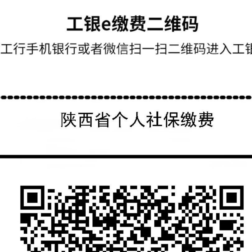 331_1628065709492.jpg