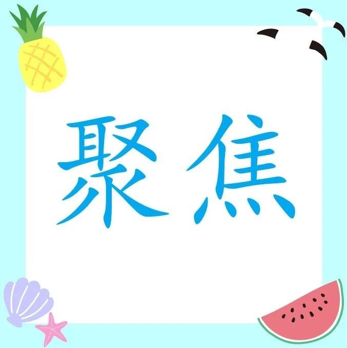 264_1628509041187.jpg
