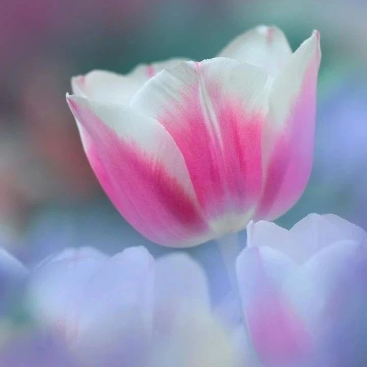 376_1628712051982.jpg
