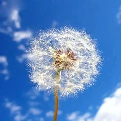 939_1629872935308.jpg