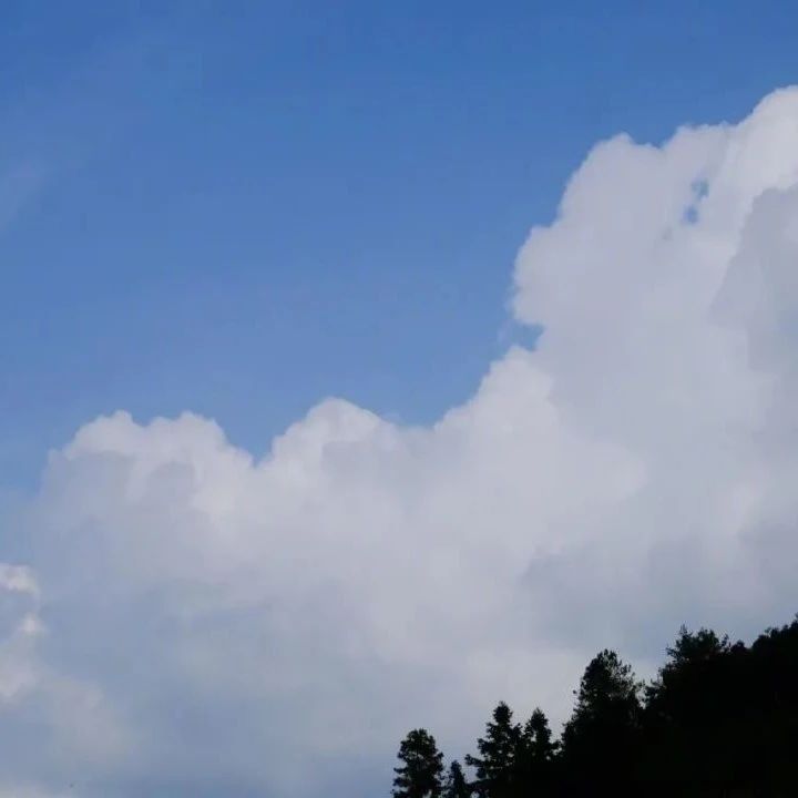 985_1630079123305.jpg