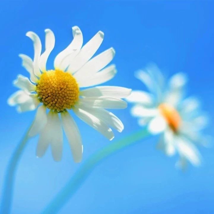 736_1630182635464.jpg