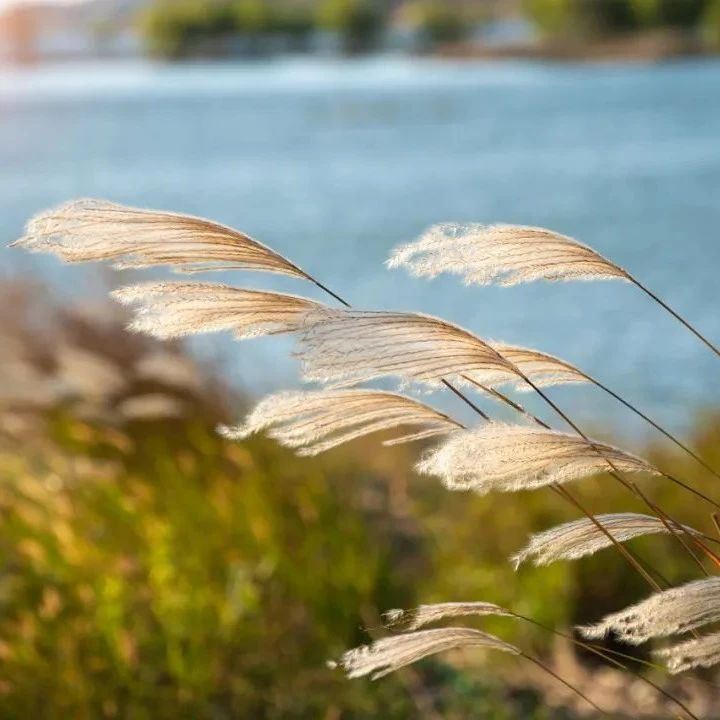 146_1630985165494.jpg