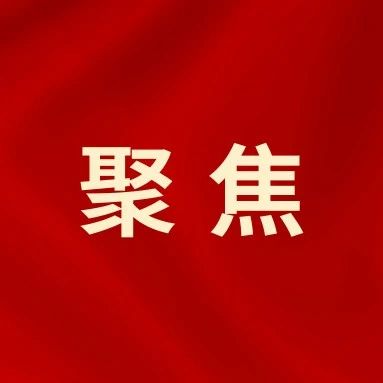 373_1631291110701.jpg