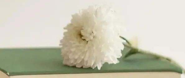 497_1632780642980.jpg