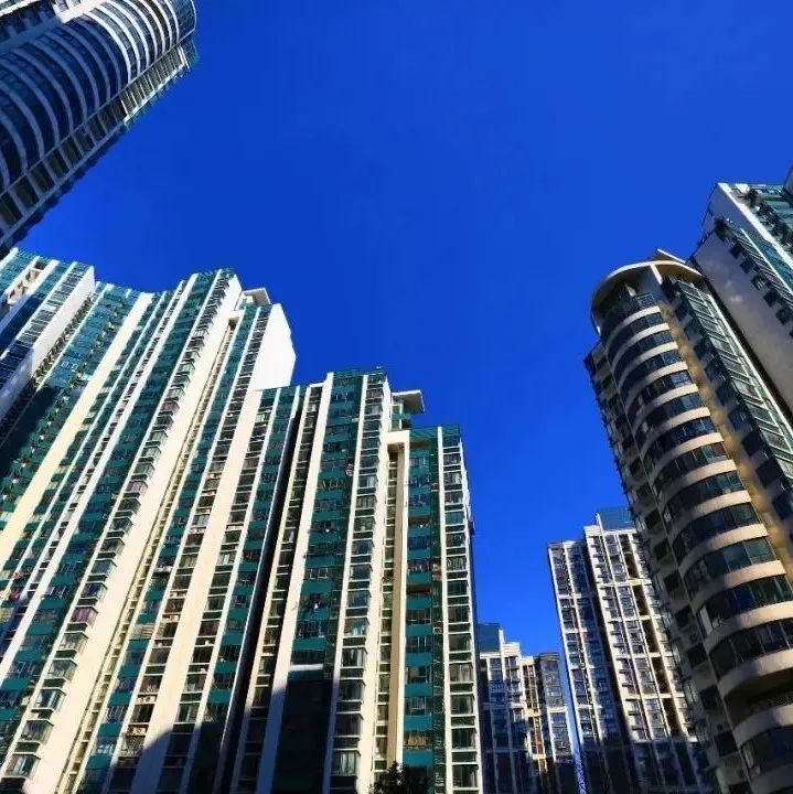 484_1633939255996.jpg