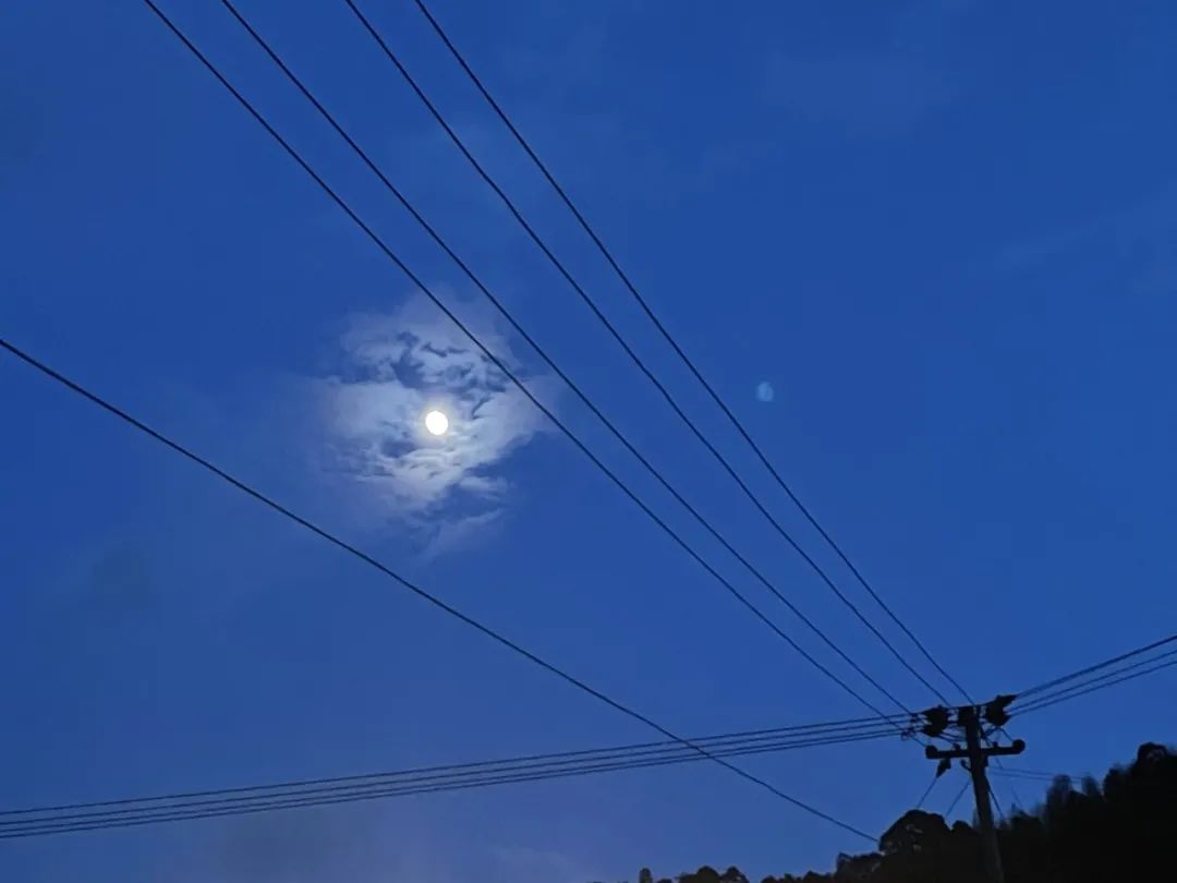 545_1633891206976.jpg