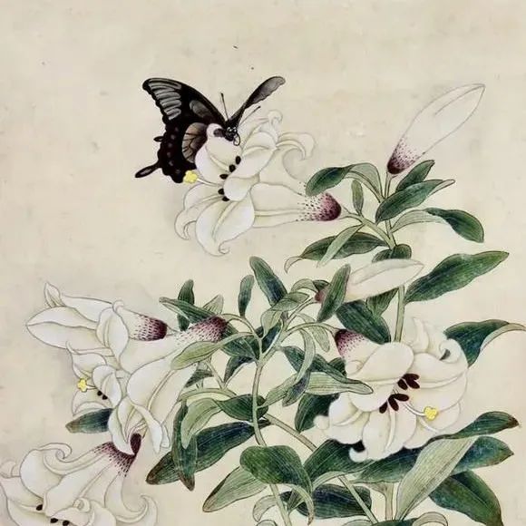 978_1635011720486.jpg