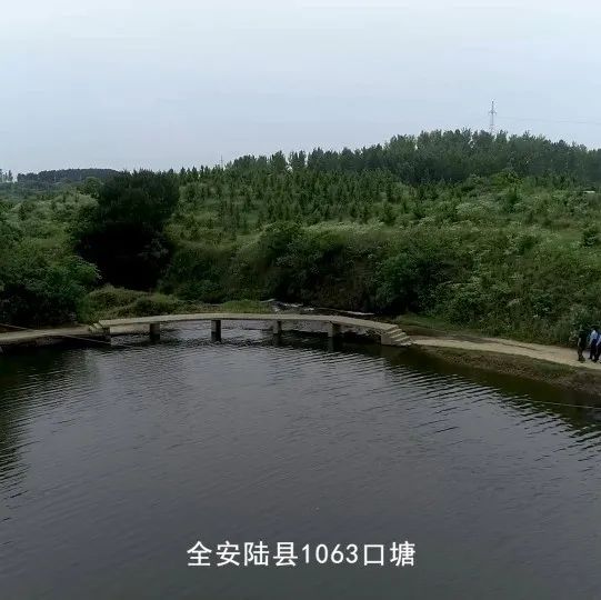 533_1636662348887.jpg