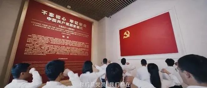 265_1637199614999.jpg