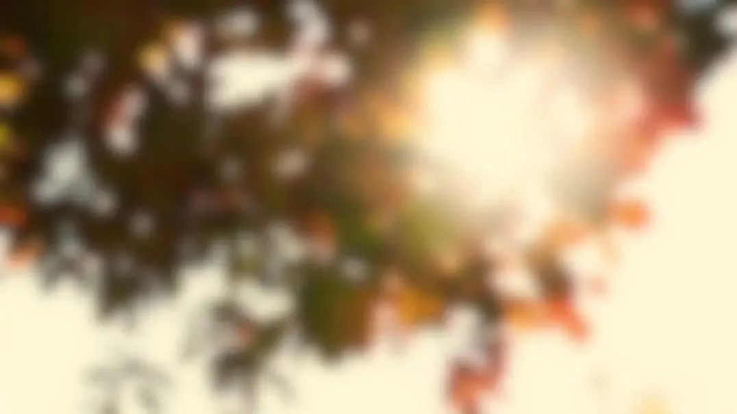 439_1637844919029.jpg